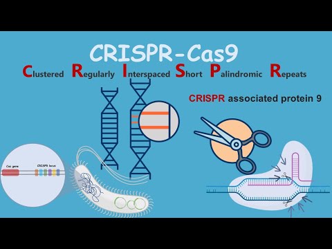 CRISPR-Cas9 : Introduction and discovery