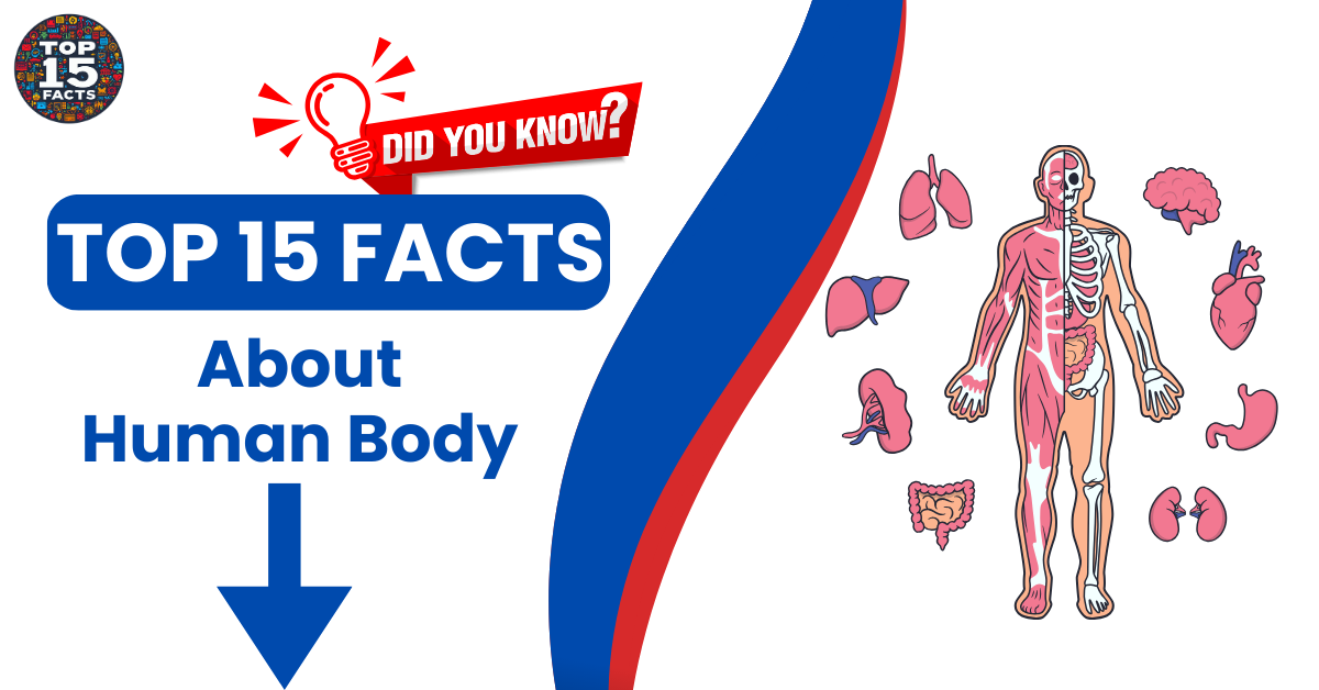 15 Astonishing Facts About the Human Body That Will Change Your Perspective