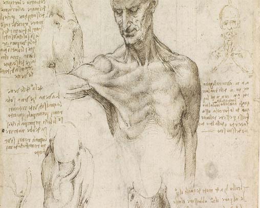 Les études approfondies de Léonard de Vinci sur l'anatomie humaine étaient en avance de plusieurs centaines d'années sur leur temps.