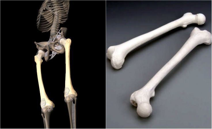 squelette d'un être humain