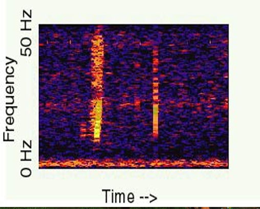Un espectrograma de Bloop
