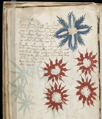 Una página del misterioso manuscrito Voynich, que no se ha descifrado hasta el día de hoy.

