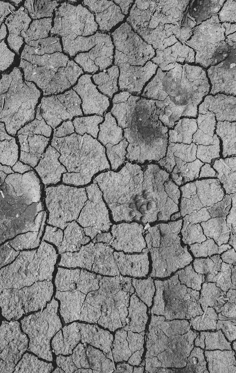 close up of an arid ground