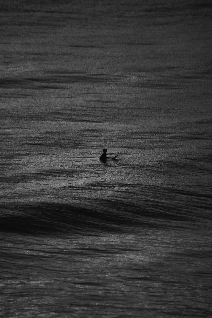 duck on dark water