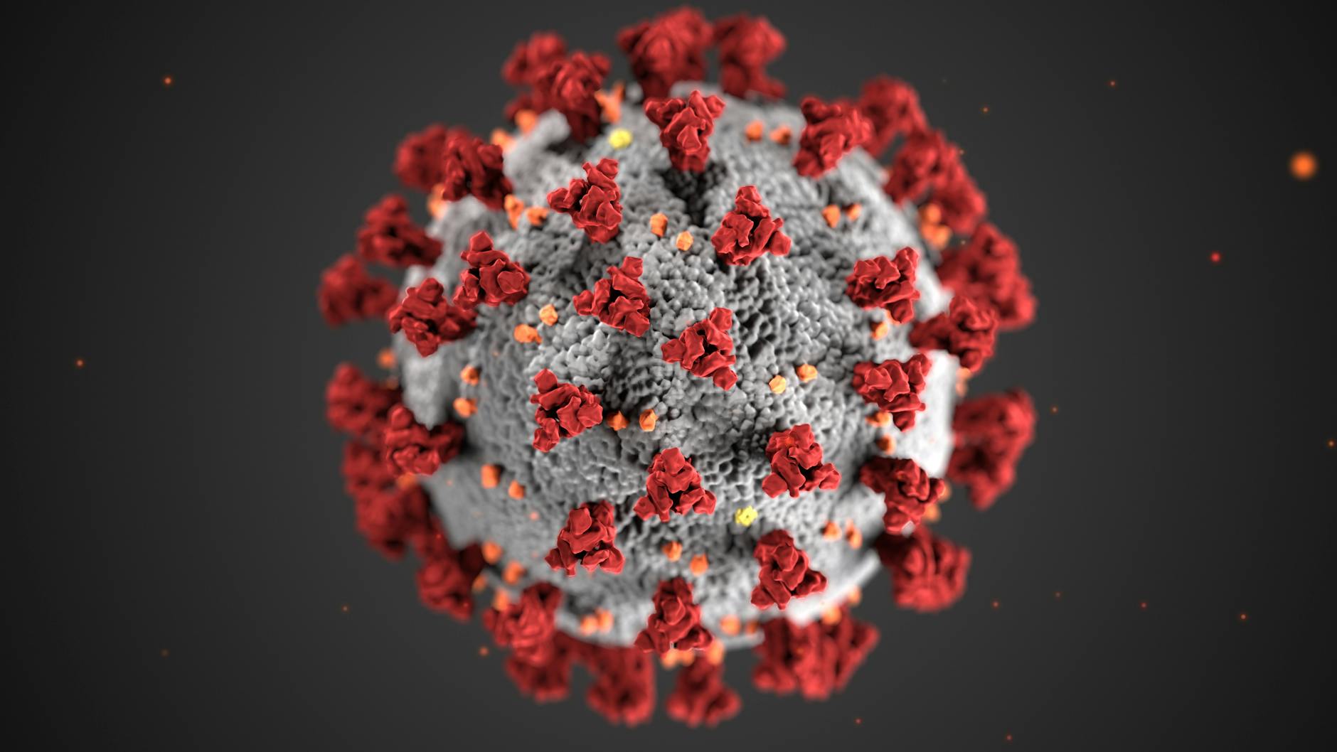 Estructura de un coronavirus