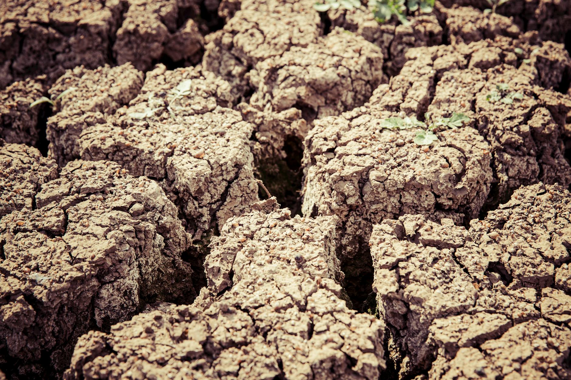 dry ground barren land