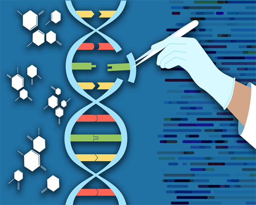 Brin d’ADN en cours d’édition avec l’outil CRISPR