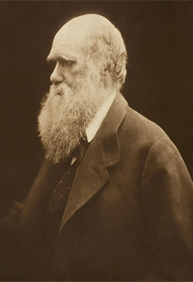 During the Darwin family's 1868 holiday in her Isle of Wight cottage, Julia Margaret Cameron took portraits showing the bushy beard Darwin grew between 1862 and 1866
