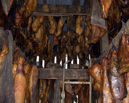 Fermented shark hanging to dry in Iceland
