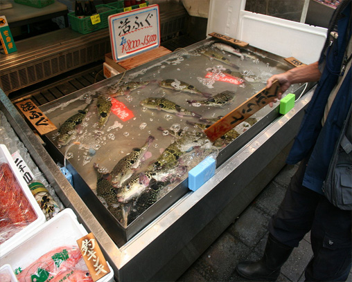 Venta de fugu en una calle del mercado en Osaka, Japón