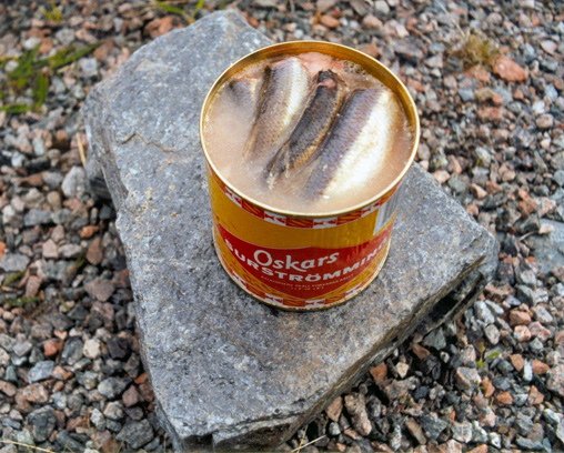 Surströmming – a fish speciality from north Sweden
