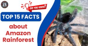 Top 15 Amazon Rainforest Facts That Will Blow Your Mind