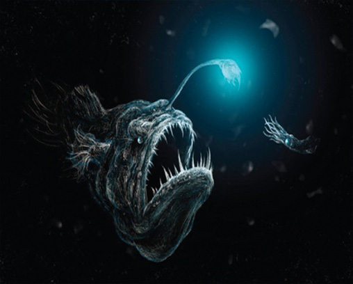 bioluminescent anglerfish

