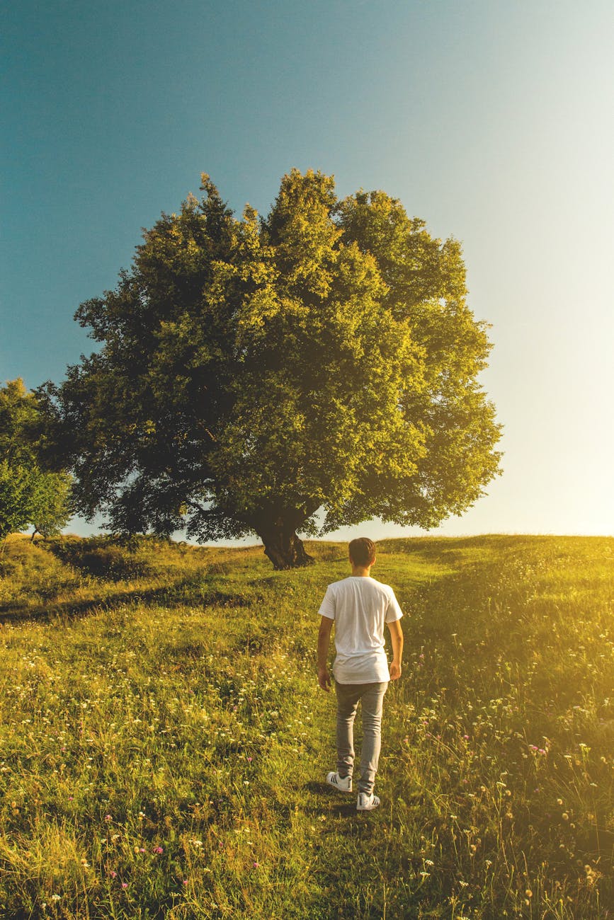 homme en t-shirt blanc et tenue en jean denim gris sur le terrain d’herbe verte