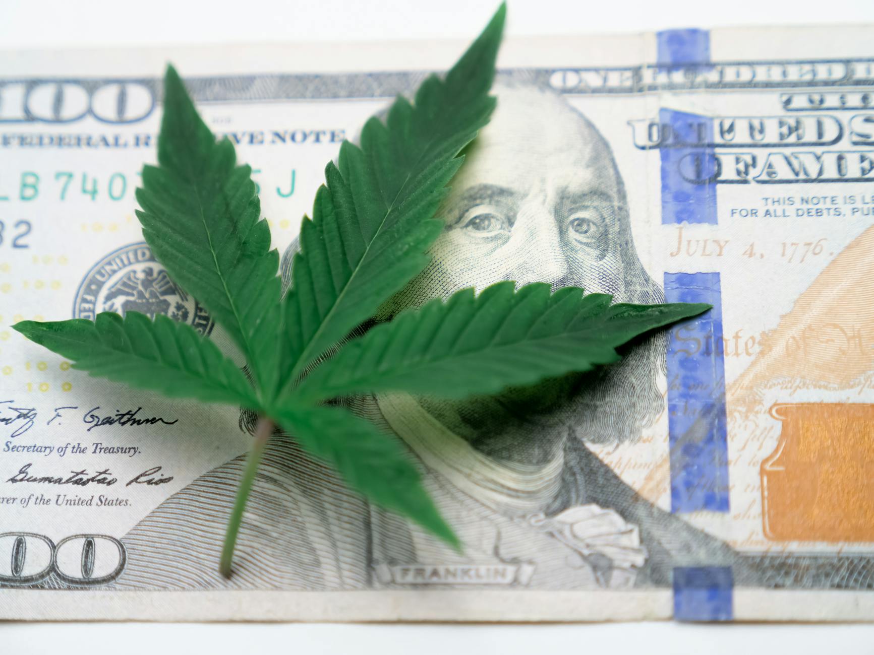 Foto de cannabis en la parte superior de un billete de cien dólares