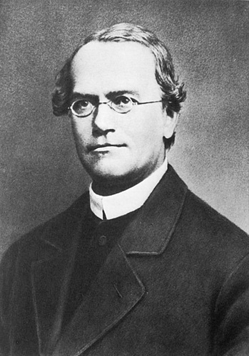 Gregor Mendel