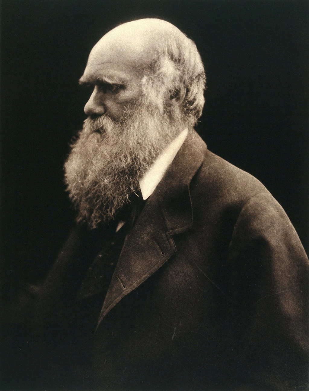 Charles Robert Darwin. Photograph Julia