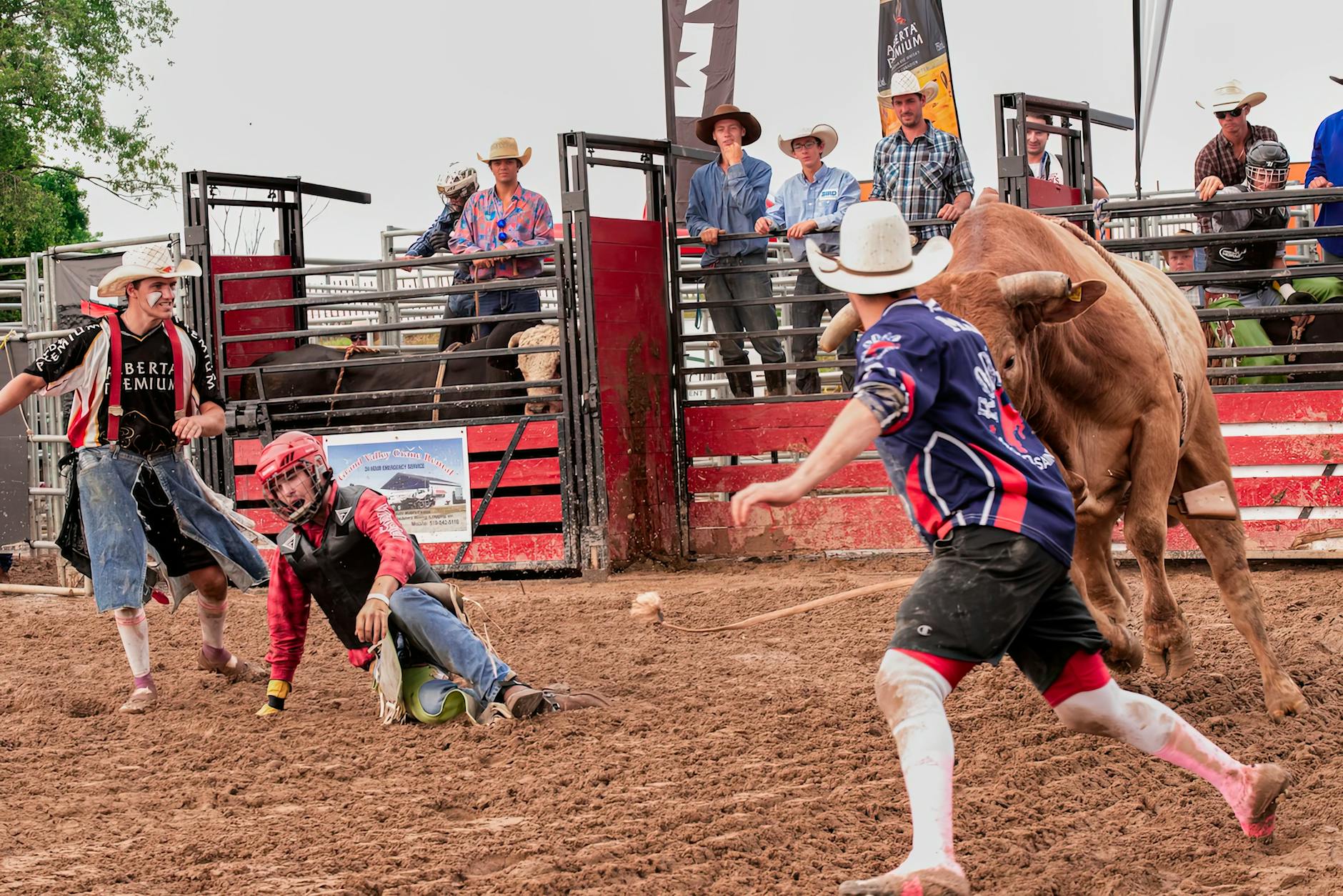 Hombres en el rodeo