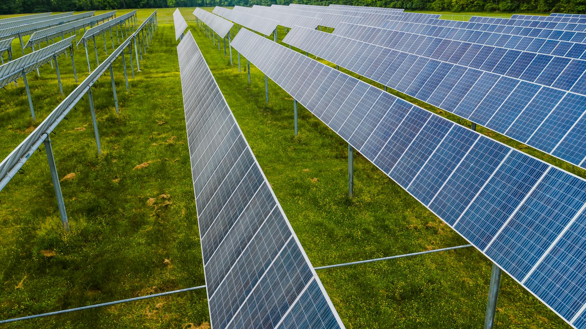 Modules solaires sur terrain vierge dans une station photovoltaïque